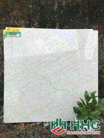 Gạch lát nền catalan 60x60 K176067